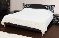 felisia nova - копия (4)
